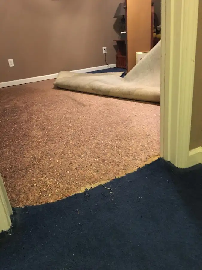 Carpet pad removal revealing water damage during Water Mitigation Services in Sault Ste. Marie
