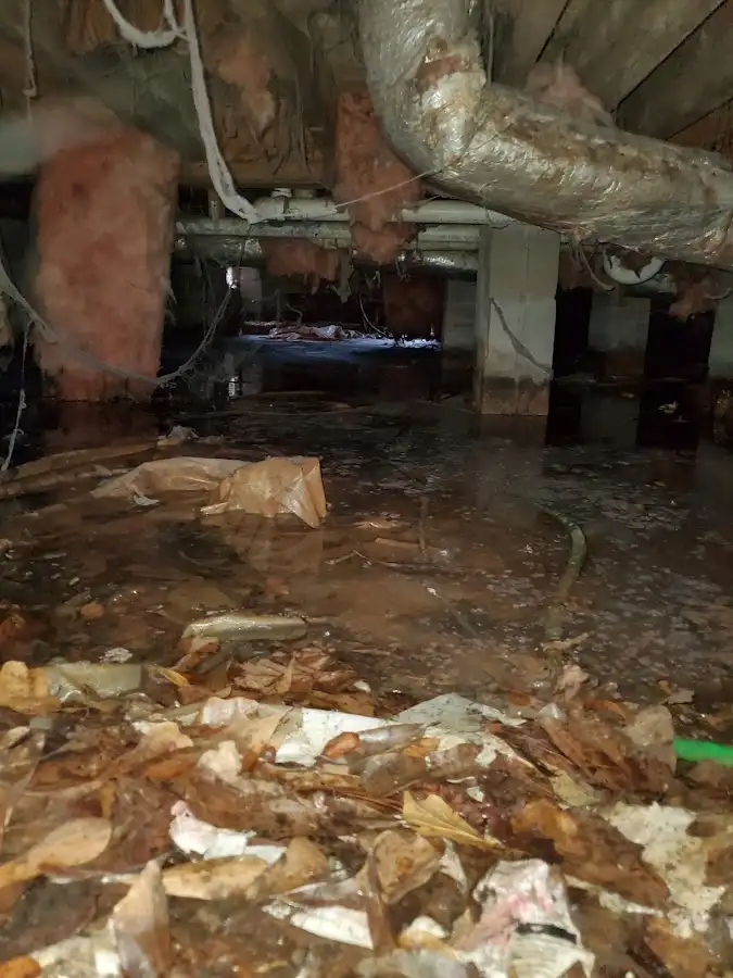 Crawl space flood assessment for Commercial Water Damage Restoration in Sault Ste. Marie