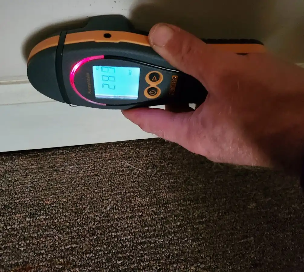 Moisture detection at baseboard during Burst Pipe Cleanup in Sault Ste. Marie